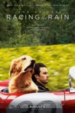 Watch The Art of Racing in the Rain Gomovies