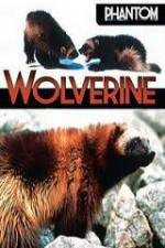 Watch National Geographic Phantom Wolverine Gomovies