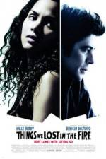 Watch Things We Lost in the Fire Gomovies
