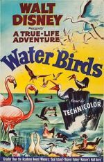 Watch Water Birds (Short 1952) Gomovies
