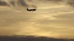 Watch The Man Who Fell from the Sky Gomovies