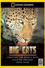 Watch National Geographic: Living With Big Cats Gomovies