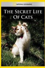 Watch National Geographic The Secret Life of Cats Gomovies