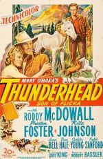 Watch Thunderhead: Son of Flicka Gomovies