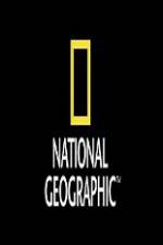 Watch National Geographic Wild Animal Attacks On Vacation Gomovies