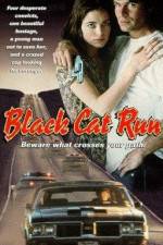 Watch Black Cat Run - Tödliche Hetzjagd Gomovies