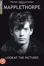 Watch Mapplethorpe: Look at the Pictures Gomovies