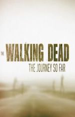 Watch The Walking Dead: The Journey So Far Gomovies