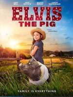Watch Elvis the Pig Gomovies