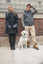 Watch Who Gets the Dog? Gomovies