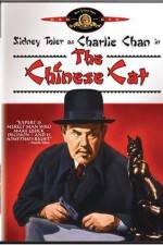Watch Charlie Chan in The Chinese Cat Gomovies