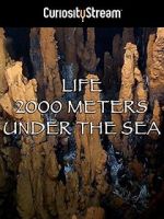Watch Life 2,000 Meters Under the Sea Gomovies