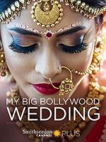Watch My Big Bollywood Wedding Gomovies