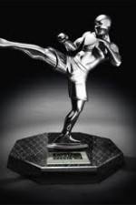 Watch World MMA Awards 2010 Gomovies