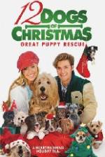 Watch 12 Dogs of Christmas Great Puppy Rescue Gomovies