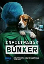 Watch Infiltrada en el bnker Gomovies