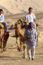 Watch Secrets Of The Arabian Nights Gomovies