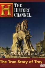 Watch The True Story of Troy Gomovies