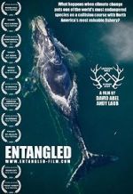 Watch Entangled: The Race to Save Right Whales from Extinction Gomovies