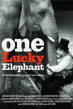 Watch En lycklig elefant Gomovies