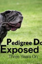 Watch Pedigree Dogs Exposed, Three Years On Gomovies