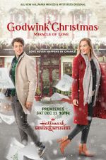Watch A Godwink Christmas: Miracle of Love Gomovies