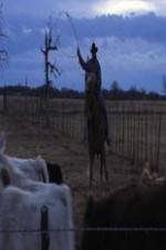 Watch Cowboy Christmas Gomovies