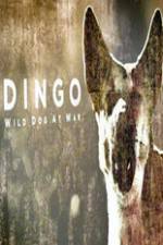 Watch Dingo Wild Dog at War Gomovies