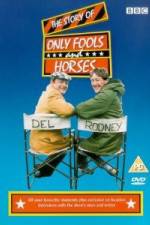 Watch The Story of Only Fools and Horses Gomovies