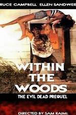 Watch Within the Woods Gomovies