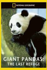 Watch National Geographic Giant Pandas The Last Refuge Gomovies