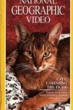 Watch Cats Caressing the Tiger Gomovies