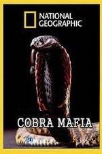 Watch National Geographic Cobra Mafia Gomovies