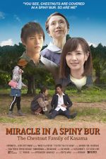 Watch Miracle in Kasama Gomovies