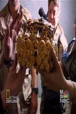 Watch Iraq's Lost Treasure Gomovies