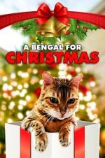 Watch A Bengal for Christmas Gomovies