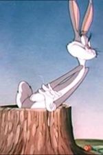 Watch The Unruly Hare Gomovies