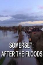 Watch Somerset: After the Floods Gomovies