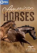 Watch American Horses Gomovies