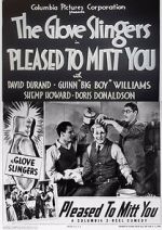 Watch Pleased to Mitt You Gomovies123