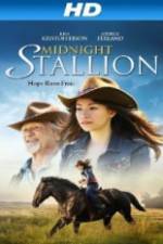 Watch Midnight Stallion Gomovies