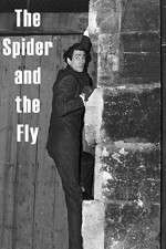 Watch The Spider and the Fly Gomovies