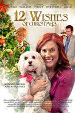 Watch 12 Wishes of Christmas Gomovies