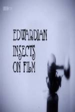 Watch Edwardian Insects on Film Gomovies