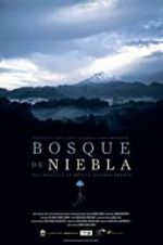 Watch The Cloud Forest Gomovies