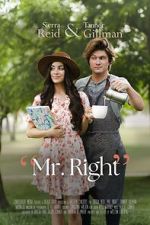 Watch Mr. Right Gomovies