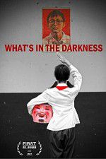 Watch What\'s in the Darkness Gomovies