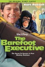 Watch The Barefoot Executive Gomovies