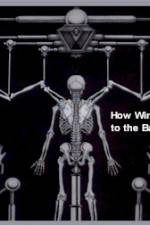 Watch How Wings Are Attached to the Backs of Angels Gomovies