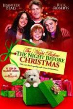 Watch The Night Before the Night Before Christmas Gomovies